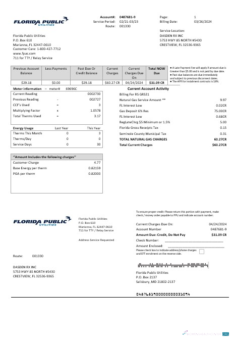 USA Florida Public Utilities business utility bill template in Word and PDF formats